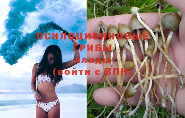 мяу мяу мука Белокуриха