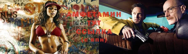 мяу мяу мука Белокуриха