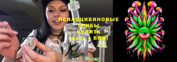 мяу мяу мука Белокуриха
