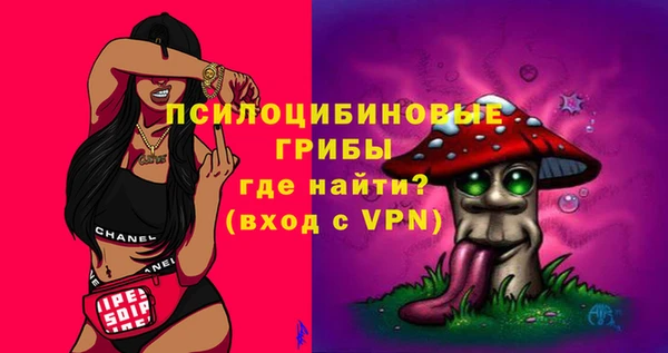 мяу мяу мука Белокуриха