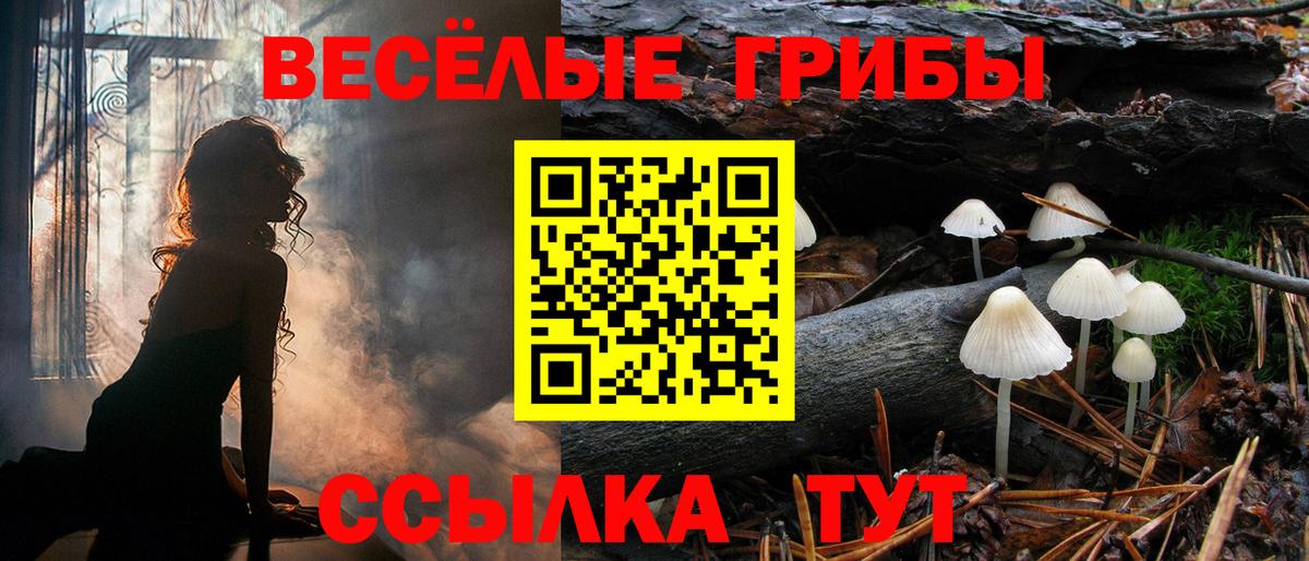 Галлюциногенные грибы прущие грибы Обь